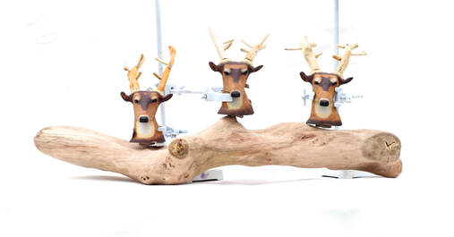 Driftwood Art Driftwood Sculpture Wildlife Art Animal Sculpture Devon Art Devon Artist